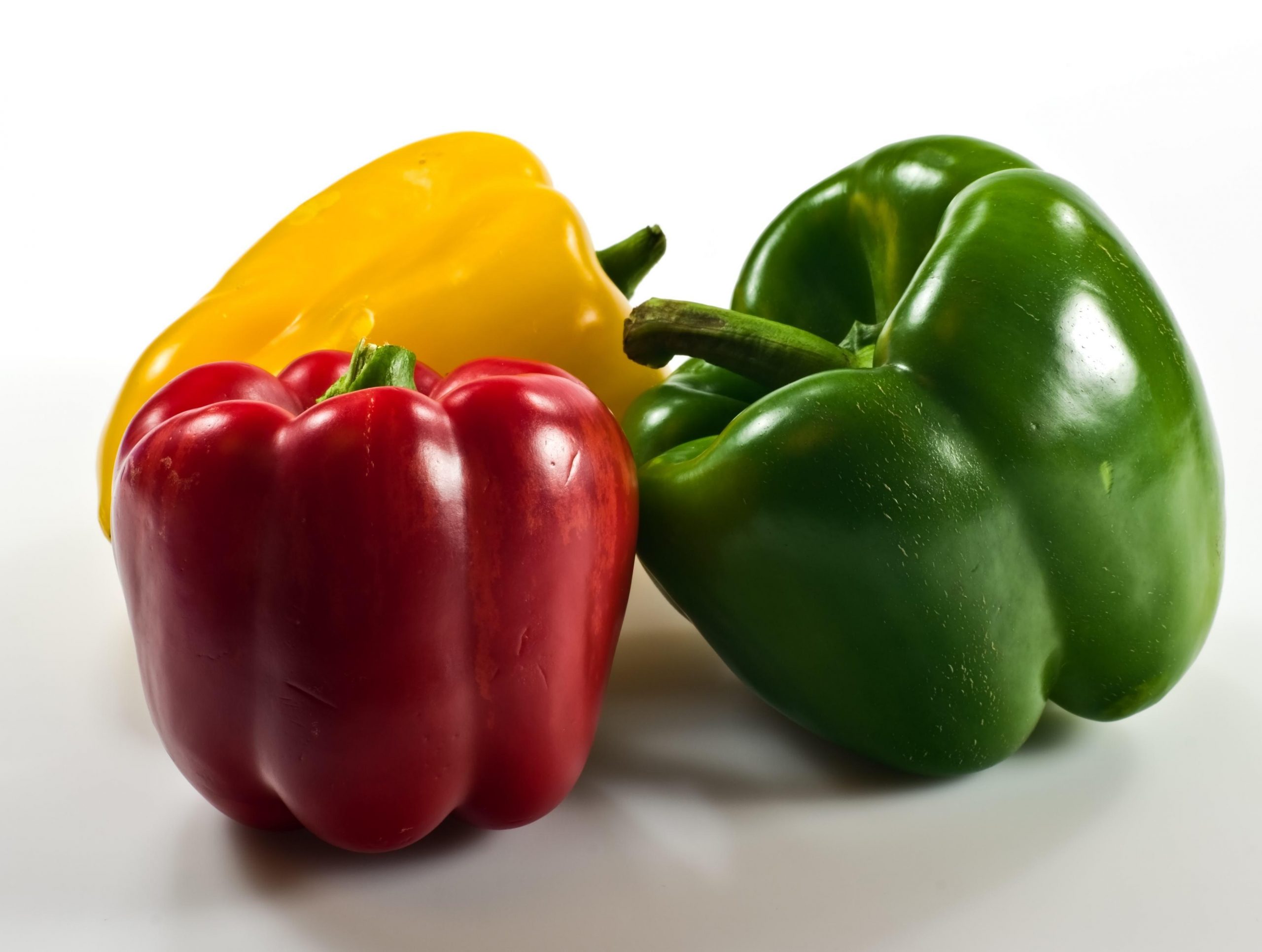 You are currently viewing Importance of Fertilizer to Your Capsicum Farming Business