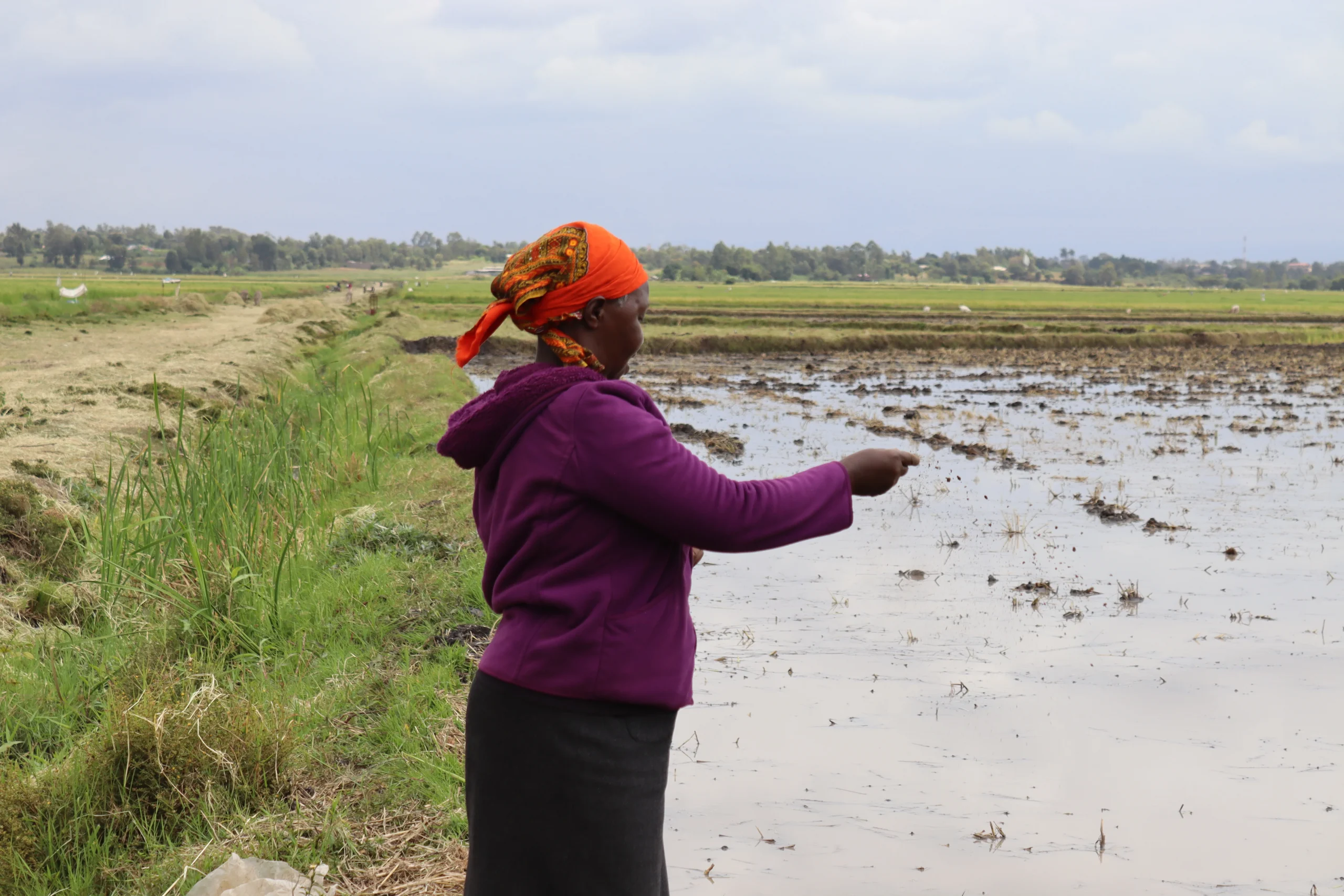 Read more about the article Josephine Wawera – Kamuchega Village Mwea