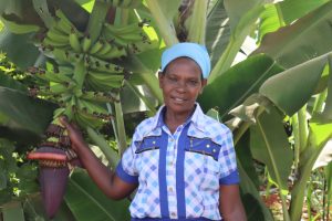 Read more about the article Esther Wakera Karani, Karani’s Farm, Difathas Embu, Kenya