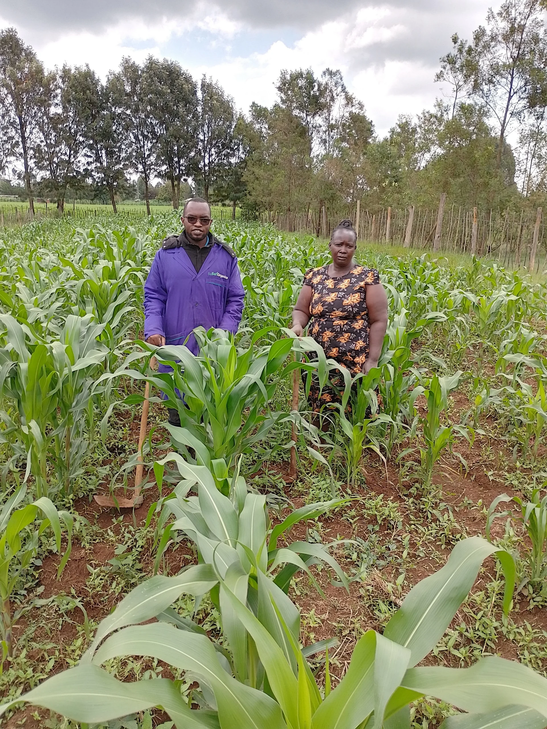 Read more about the article Cecilia Kogo, Kipchamo Farm, Eldoret, Kenya –