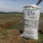 Community Impact: Nurturing Local Agriculture Through Our Fertilizer Manufacturing