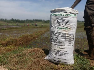 Read more about the article Community Impact: Nurturing Local Agriculture Through Our Fertilizer Manufacturing