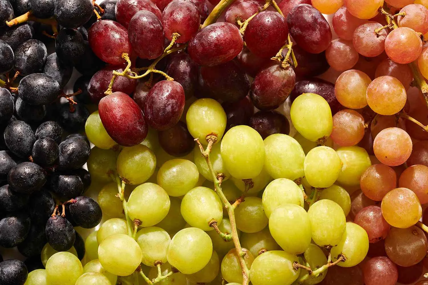 Read more about the article Grape Farming in Kenya