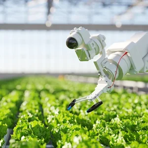 Read more about the article The Future of Farming: How Technology Is Transforming Crop Production
