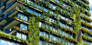 Read more about the article What is Urban Greening?