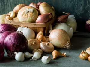 Read more about the article Best Onion Seed Varieties for increased yeilds