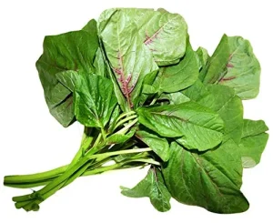 Read more about the article 10 Black Nightshade Diseases That Affect Farms in Kenya