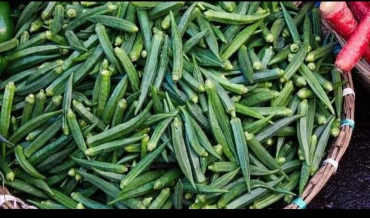 You are currently viewing Okra Farming in Kenya 