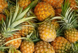 Read more about the article Pineapple Farming in Kenya