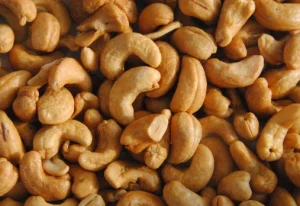 Read more about the article Cashew Nuts Farming in Kenya