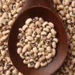 Read more about the article Cowpea Farming in Kenya