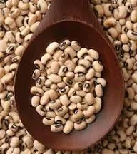 You are currently viewing Cowpea Farming in Kenya